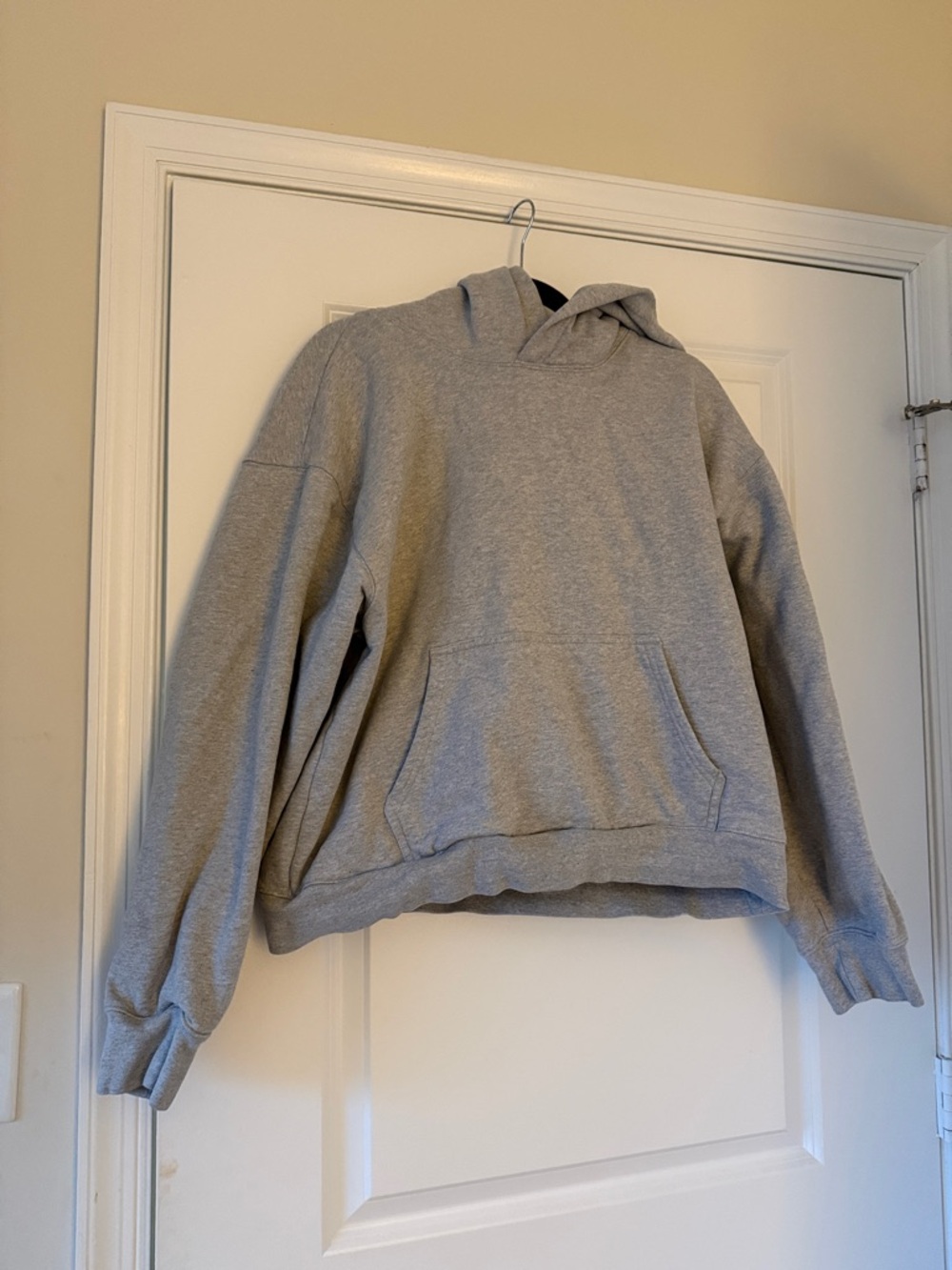 Aritzia Tna Extra Fleece Hoodie in Light Gray